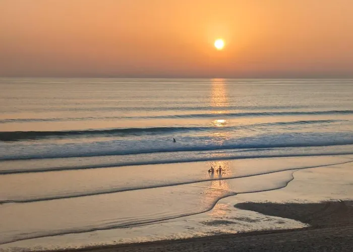 Alpehytte Neuf 40 M2 Confort Avec Piscine Proche Des Plages Et Lacanau